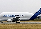 Beluga3